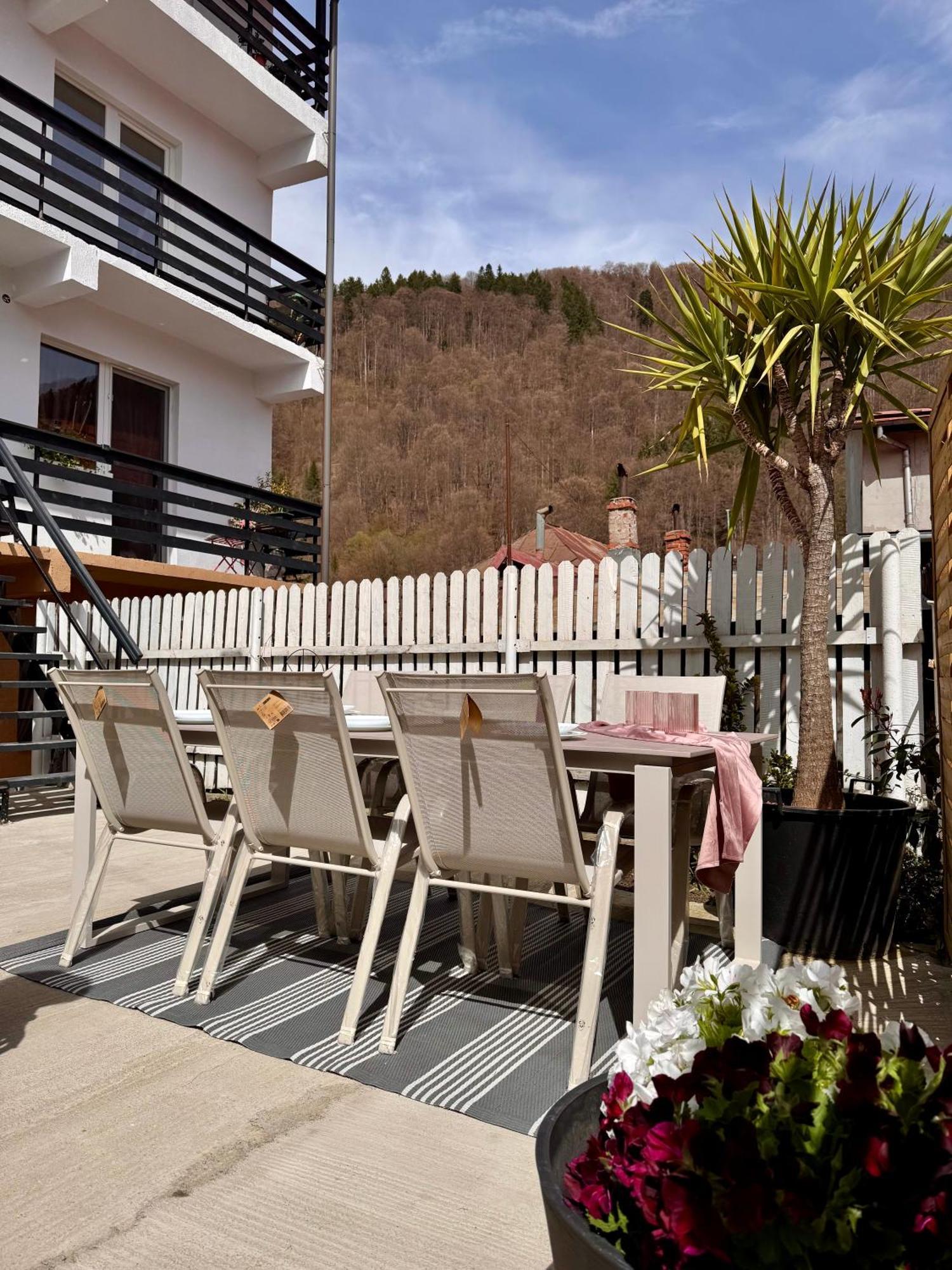 Greg Rooms Sinaia Ngoại thất bức ảnh